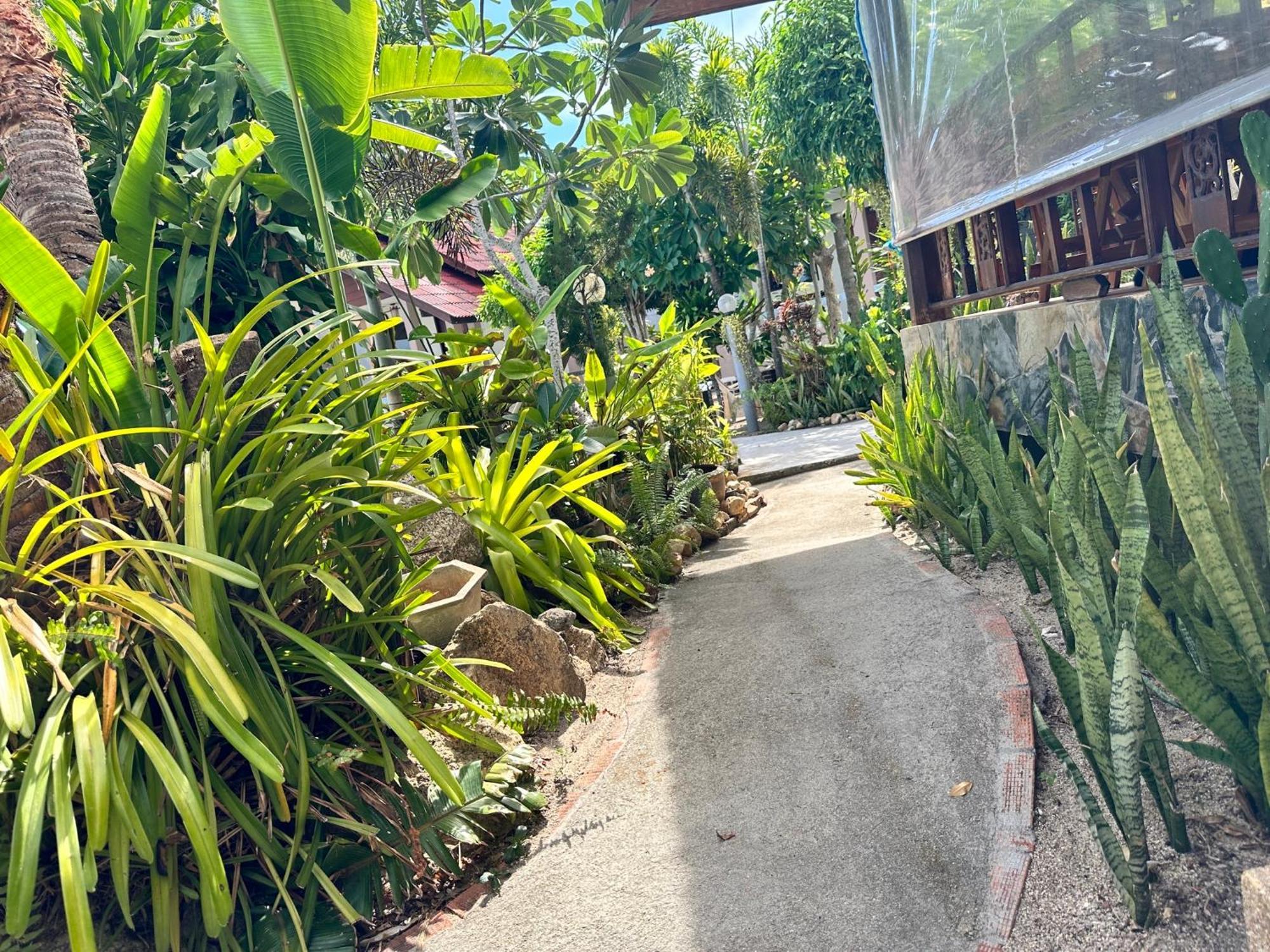 Phangan Lodge Baan Tai Eksteriør billede